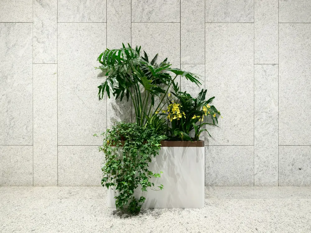 Honed pale stone wall in large format tiles